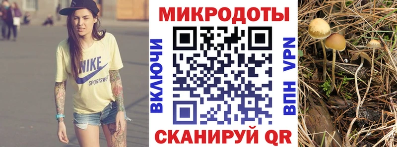 Галлюциногенные грибы ЛСД  Назрань 