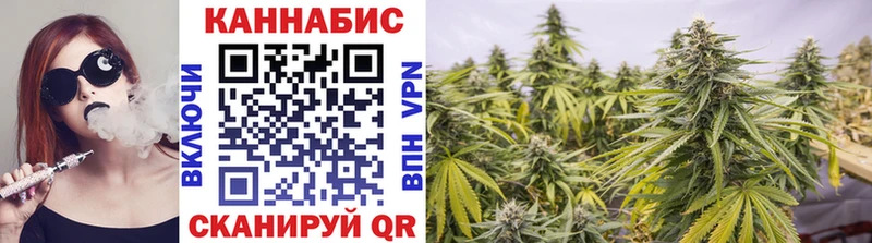 как найти   Назрань  mega как войти  Шишки марихуана семена 